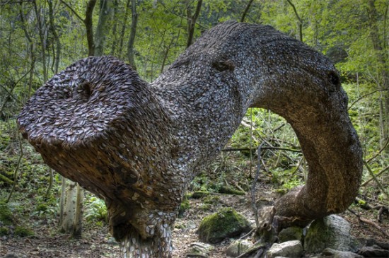 Kỳ lạ khúc gỗ được phủ kín bởi hàng nghìn đồng xu trong rừng suốt hàng trăm năm - Ảnh 1.