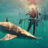 Đập hộp siêu phẩm Samsung Galaxy S8 ngay giữa đàn cá mập hung dữ