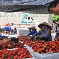 Việt Nam được Thụy Sỹ hỗ trợ về bảo quản nông sản