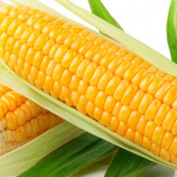 Thực phẩm biến đổi gen - Nên hay không nên ăn?