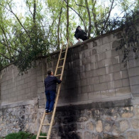 "Cò du lịch" Trung Quốc xúi du khách vượt tường trốn vé vào vườn thú