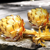 Giá vàng ngày 11.4: Bắt đầu bước vào nhịp tăng?