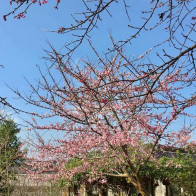 Đến Điện Biên ghé thăm hồ Pá Khoang