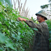 Cán đích sớm, huyện Hoài Đức phấn đấu lên quận