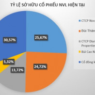 Đại gia Novaland phất lên nhờ đâu?