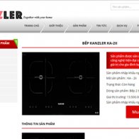 Thực hư bếp điện từ “chuẩn Đức” giảm giá tới 57%