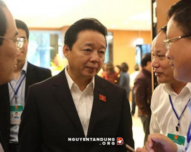 Bộ trưởng Trần Hồng Hà “đảm bảo hoàn toàn” môi trường biển vụ Formosa