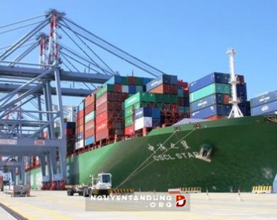 Vì sao phí container từ Hải Phòng về Hà Nội đắt gấp 3 từ Hàn Quốc về Việt Nam?