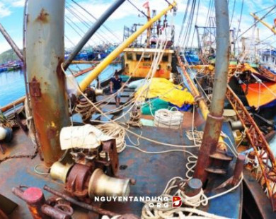An ninh kinh tế vào cuộc điều tra vụ tàu cá vỏ thép chục tỷ nằm bờ