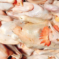 Sự thật gà ri đặc sản mổ sẵn 60 ngàn/con bán la liệt ở Hà Nội