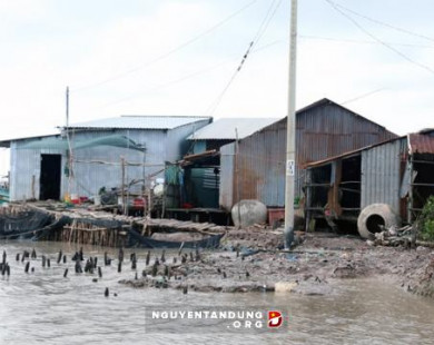 10 năm, biển “nuốt” hơn 1.000 ha đất ở Kiên Giang