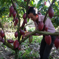 ND vay tín dụng đen: Nhà băng thừa tiền nhưng còn cả "rừng" thủ tục