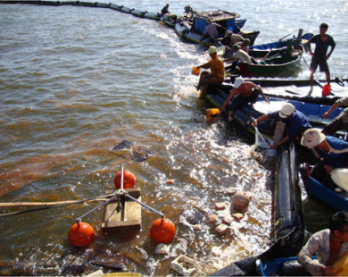 Quảng Ninh: Bục đường ống truyền tải, 200 lít dầu tràn xuống biển