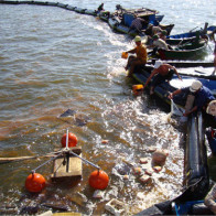Quảng Ninh: Bục đường ống truyền tải, 200 lít dầu tràn xuống biển