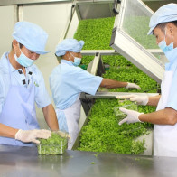 Bộ Tài Chính “dài tay” khi tính... khống chế tỷ lệ vay vốn?