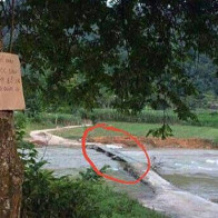 Chủ tịch xã lên tiếng về việc dân làm cầu rồi gắn biển cấm cán bộ xã đi qua