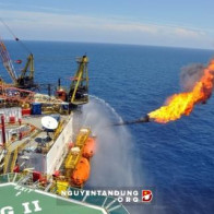 Vì sao Việt Nam bán dầu thô giá rẻ cho Trung Quốc?