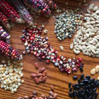 Phương Tây nắm giữ thứ khiến ngành nông nghiệp Nga "điêu đứng"