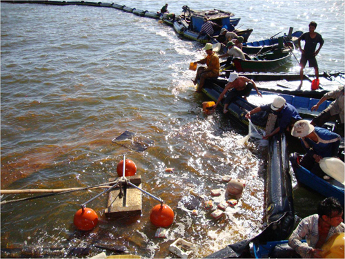 Chính trị - Xã hội - Quảng Ninh: Bục đường ống truyền tải, 200 lít dầu tràn xuống biển