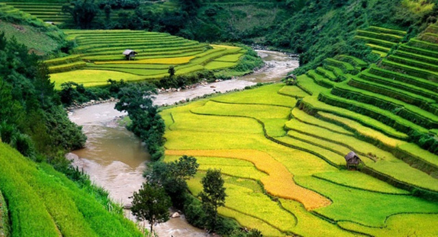 Lạc vào những thung lũng đẹp mê hồn ở Việt Nam
