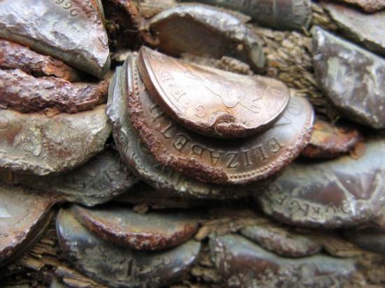 Kỳ lạ khúc gỗ được phủ kín bởi hàng nghìn đồng xu trong rừng suốt hàng trăm năm - Ảnh 2.