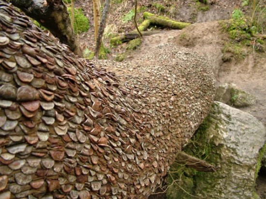 Kỳ lạ khúc gỗ được phủ kín bởi hàng nghìn đồng xu trong rừng suốt hàng trăm năm - Ảnh 3.