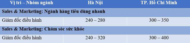 Những vị trí có mức lương trên 300 triệu đồng tại Việt Nam - Ảnh 1.